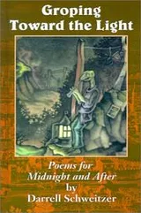 Cover of Groping Toward the Light