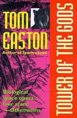 Cover of Tower of the Gods