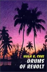 Cover of Drums of Revolt