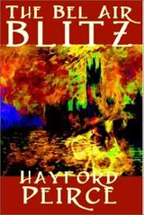 Cover of The Bel Air Blitz