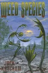 Cover of Weed Species