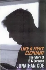 Cover of Like a Fiery Elephant