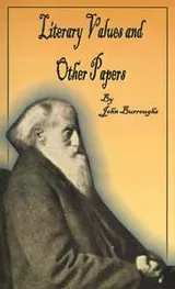 Cover of Literary Values and Other Papers