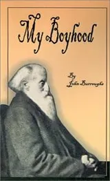 Cover of My Boyhood