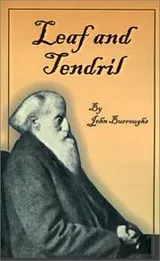 Cover of Leaf and Tendril