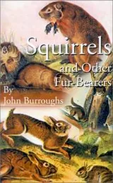 Cover of Squirrels and other fur-bearers