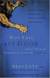 Cover of Not Safe, but Good (vol 2)