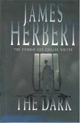 Cover of The Dark