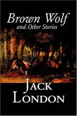 Cover of Brown Wolf and Other Jack London Stories