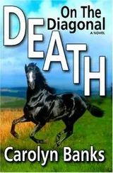 Cover of Death On The Diagonal