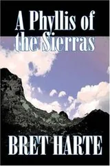 Cover of A Phyllis of the Sierras