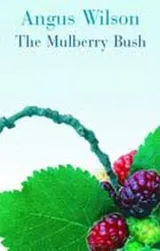 Cover of The mulberry bush