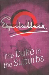 Cover of The Duke In The Suburbs
