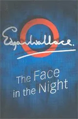 Cover of The face in the night