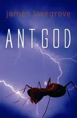 Cover of Ant God