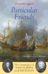 Cover of Particular Friends