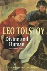 Cover of Divine and Human