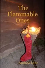 Cover of The Flammable Ones