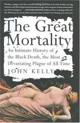 Cover of The Great Mortality