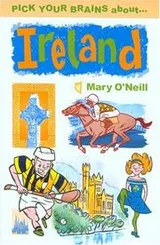 Cover of Pick Your Brains About Ireland (Pick Your Brains - Cadogan)