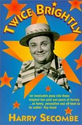 Cover of Twice brightly