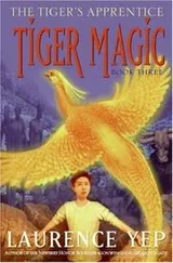 Cover of Tiger magic