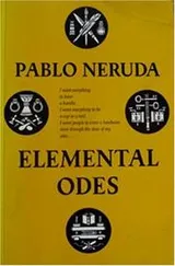 Cover of Odas elementales