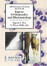 Cover of Equine Orthopaedics and Rheumatology