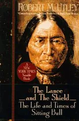 Cover of The lance and the shield