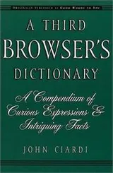 Cover of A Third Browser's Dictionary