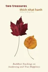Cover of Two Treasures