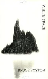 Cover of White Space