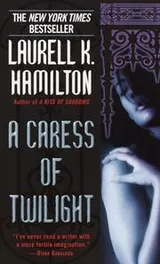 Cover of A Caress of Twilight (Meredith Gentry, Book 2)