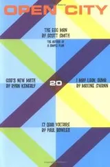 Cover of Open City