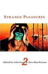 Cover of Strange pleasures 2