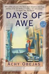 Cover of Days of Awe