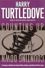 Cover of Counting Up, Counting Down