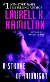 Cover of A Stroke of Midnight