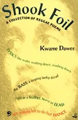 Cover of Shook foil