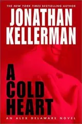 Cover of A cold heart