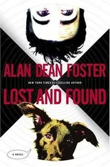 Cover of Lost and Found