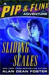 Cover of Sliding Scales