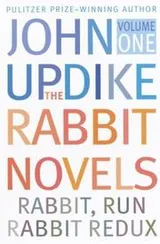 Cover of Rabbit Novels Vol. 1