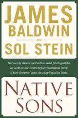 Cover of Native sons