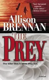 Cover of The Prey