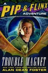 Cover of Trouble Magnet