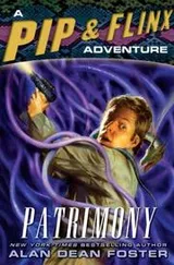 Cover of Patrimony