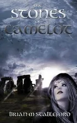 Cover of The Stones of Camelot
