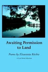 Cover of Awaiting permission to land
