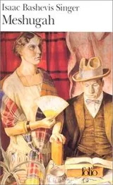 Cover of Meshugah